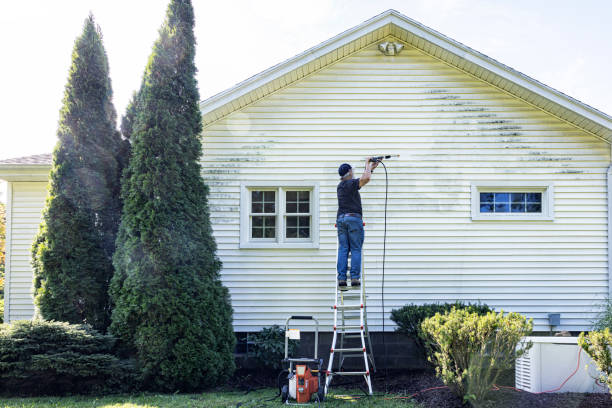 Best Soft Washing  in Kingston Estates, NJ